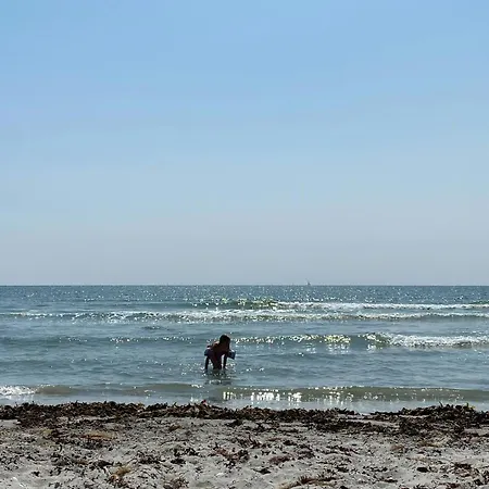 Family With Soul Near Skodshoved